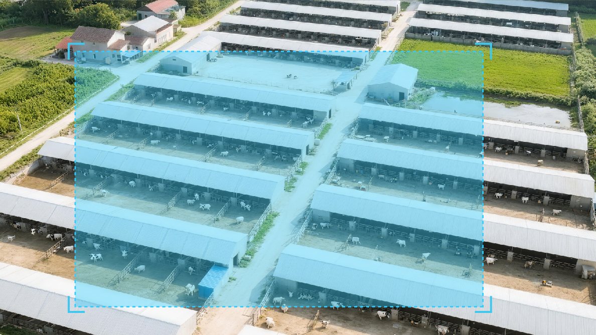 农业畜禽场地识别