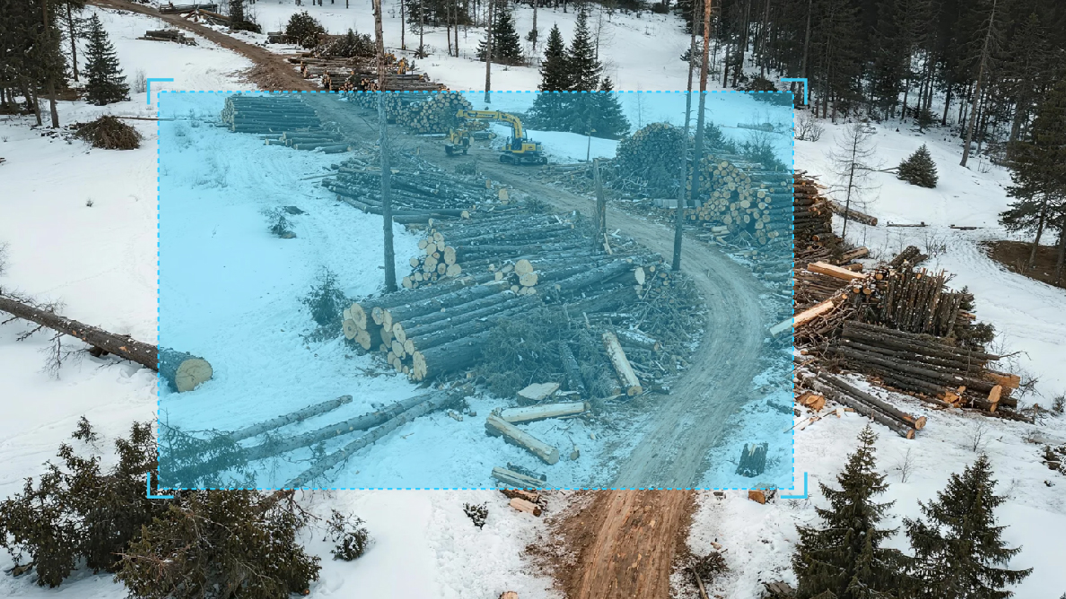 非法砍伐行为识别