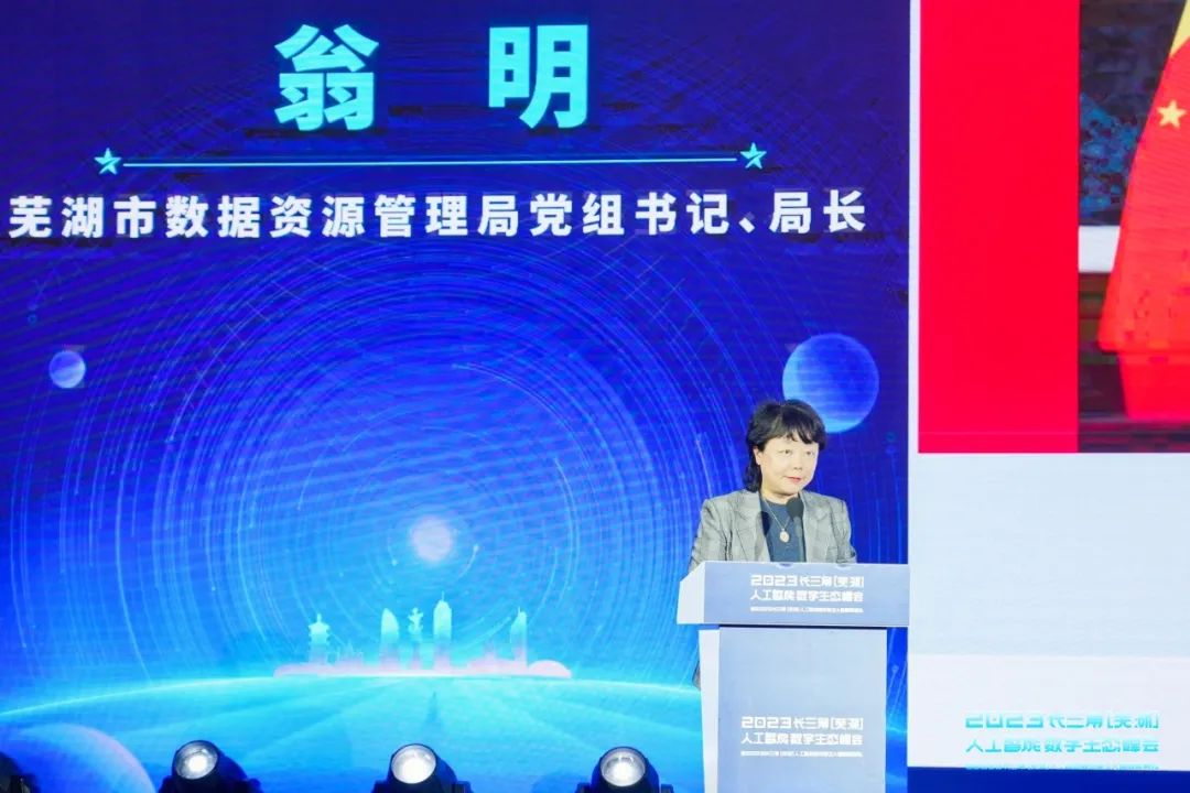 芜湖市数据资源管理局党组书记、局长翁明